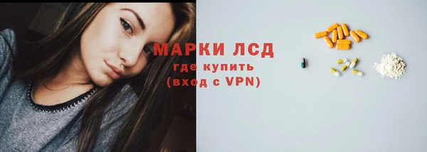прущий лед Алзамай