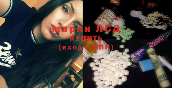 прущий лед Алзамай