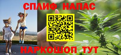 индика Нарткала