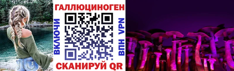Псилоцибиновые грибы MAGIC MUSHROOMS  Ковров 