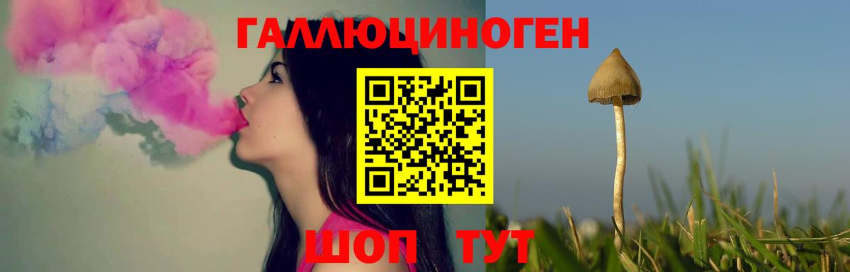 Ковров  магазин  наркотиков  Вход с VPN  Галлюциногенные грибы MAGIC MUSHROOMS 